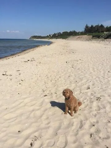 Charming In 度假居 *